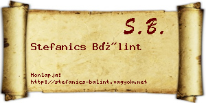 Stefanics Bálint névjegykártya